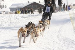 Lenk 2012 SM